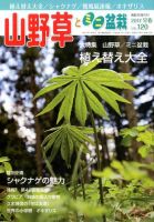 山野草とミニ盆栽 2017年3月号 (発売日2017年02月10日) 表紙