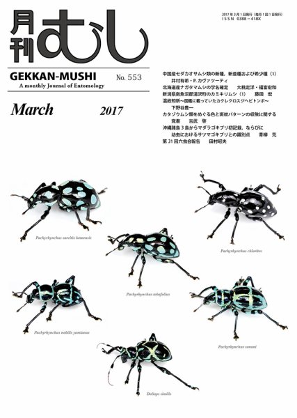 月刊むし 553 (発売日2017年02月23日) 表紙