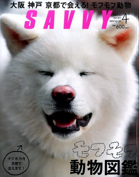 SAVVY (サヴィ) 2017年4月号 (発売日2017年02月23日) 表紙