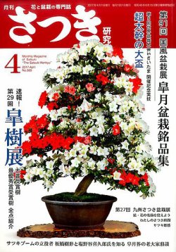 N240　さつき研究　2013年2月号　盆栽　雑誌　趣味　専門誌 N240 さつき研究 2013年2月号 盆栽 雑誌 趣味 専門誌