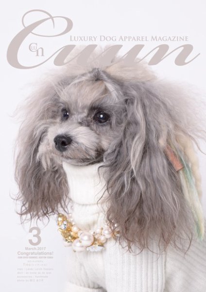 Cuun（クーン） 2017年3月号 (発売日2017年03月10日) 表紙