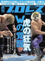 週刊プロレス 2017年3/29号 (発売日2017年03月15日) 表紙