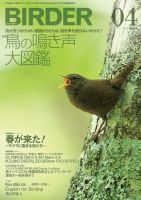 BIRDER（バーダー） 2017年4月号 (発売日2017年03月16日) 表紙