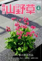 趣味の山野草 2017年4月号 (発売日2017年03月11日) | 雑誌/定期購読の