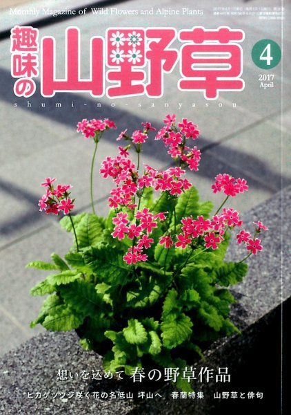 趣味の山野草 2017年4月号 (発売日2017年03月11日) 表紙