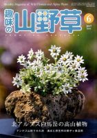 趣味の山野草のバックナンバー (6ページ目 15件表示) | 雑誌