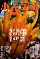 小説宝石 2017年4月号 表紙