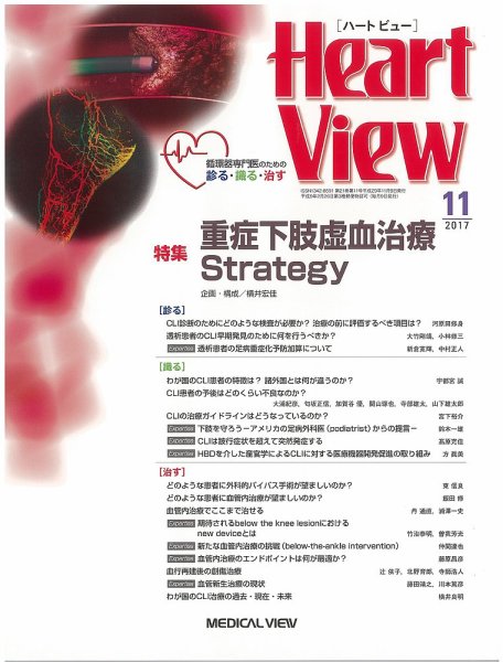 Heart View（ハートビュー） 2017年11月号 (発売日2017年10月10日) 表紙