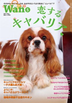 Wan わん 17年5月号 発売日17年04月14日 雑誌 電子書籍 定期購読の予約はfujisan