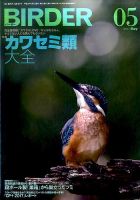 BIRDER（バーダー） 2017年5月号 表紙