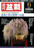 月刊 近代盆栽 2017年6月号 表紙