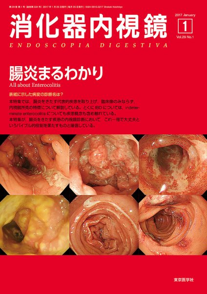 消化器内視鏡 17年1月号 (発売日2017年01月25日) 表紙