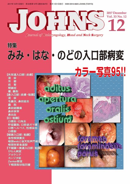 JOHNS（ジョウンズ） 17年12月号 (発売日2017年12月01日) 表紙