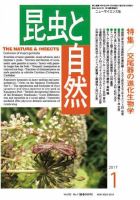 昆虫と自然 2017年1月号 表紙