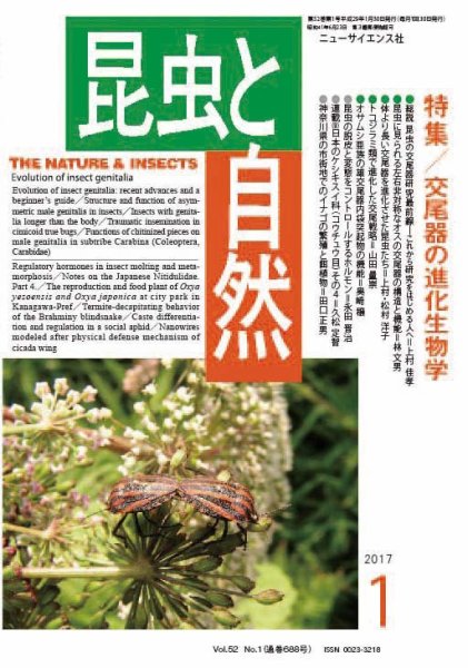 昆虫と自然 2017年1月号 (発売日2016年12月20日) 表紙