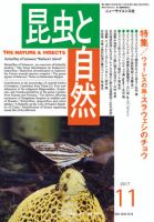 昆虫と自然 2017年11月号 表紙