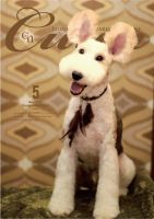 Cuun（クーン） 2017年5月号 表紙