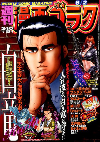週刊漫画ゴラク 2017年6/2号 (発売日2017年05月19日) 表紙