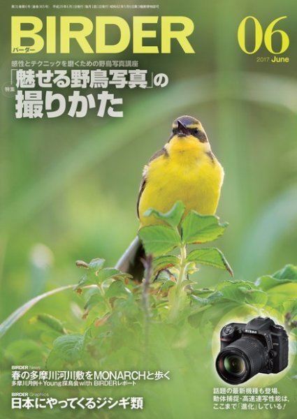 BIRDER（バーダー） 2017年6月号 (発売日2017年05月16日) 表紙