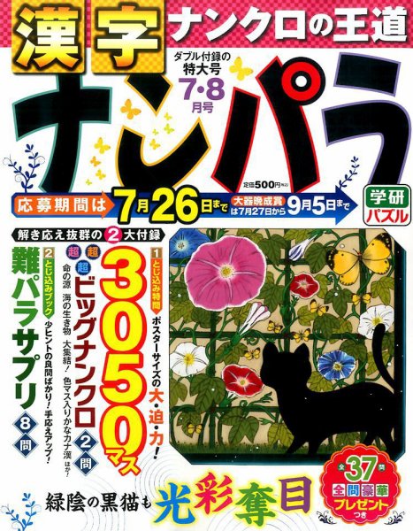 ナンパラ 2017年7月号 (発売日2017年05月27日) 表紙