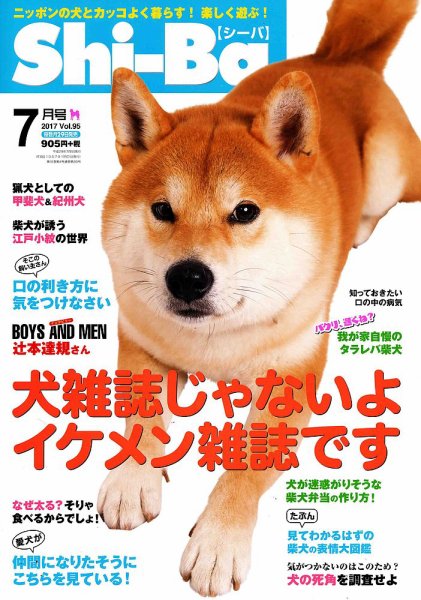 Shi-Ba(シーバ)　 2017年7月号 (発売日2017年05月29日) 表紙