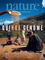 Nature（個人購読専用） 2017年2月16日 表紙