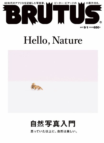 BRUTUS(ブルータス) No.853 (発売日2017年08月16日) 表紙