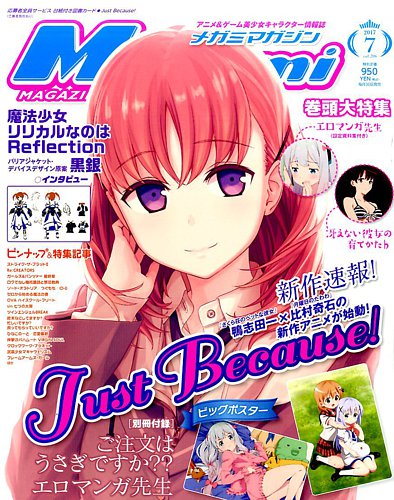 Megami Magazine(メガミマガジン） 2017年7月号 (発売日2017年05