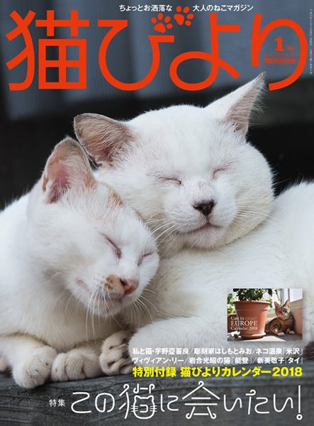 猫びより 97号 (発売日2017年12月12日) 表紙