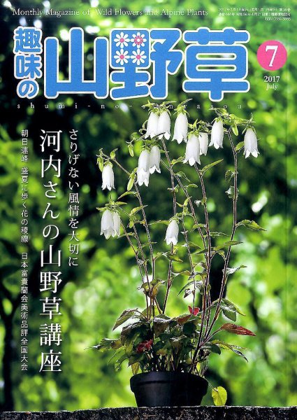 趣味の山野草 2017年7月号 (発売日2017年06月12日) 表紙