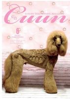 Cuun（クーン） 2017年6月号 表紙