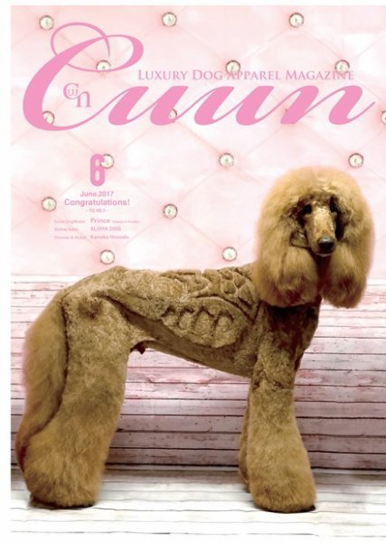 Cuun（クーン） 2017年6月号 (発売日2017年06月10日) 表紙