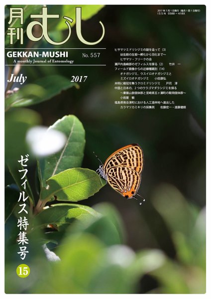月刊むし 557 (発売日2017年06月23日) 表紙