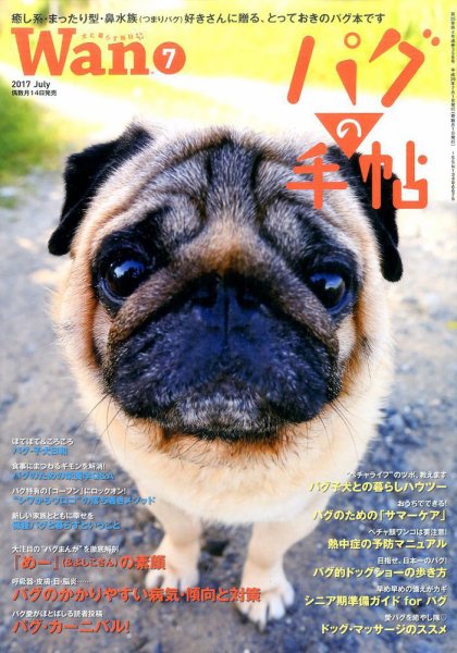wan（わん） 2017年7月号 (発売日2017年06月14日) 表紙