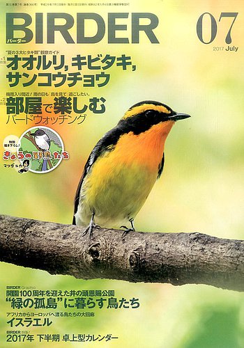 オオルリとキビタキのバードカービング オオルリ木彫バード - 日々の