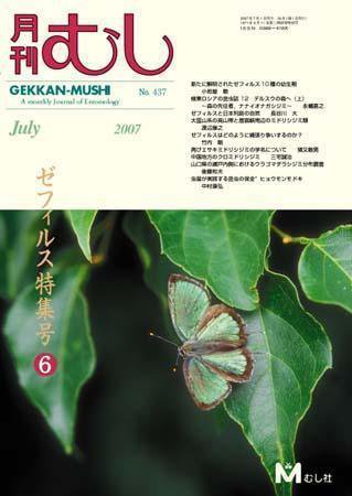 月刊むし 437 (発売日2007年06月20日) 表紙
