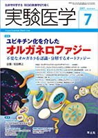 実験医学 Vol.35No.11 (発売日2017年06月20日) 表紙