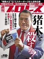 週刊プロレス 2017年7/12号 表紙