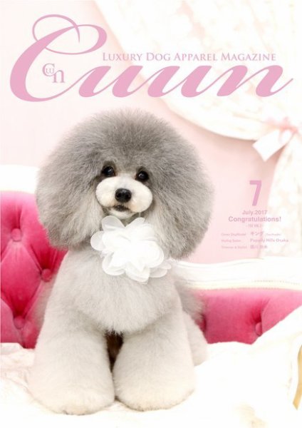Cuun（クーン） 2017年7月号 (発売日2017年07月10日) 表紙