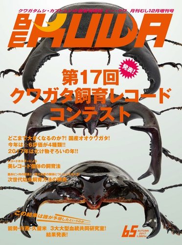 月刊むし BE-KUWA(ビークワ)65 2017年12月 1519252_l.jpg