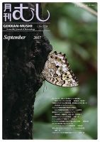 月刊むし 559 表紙