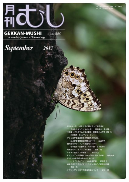 月刊むし 559 (発売日2017年08月22日) 表紙