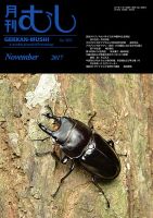 月刊むし 561 表紙