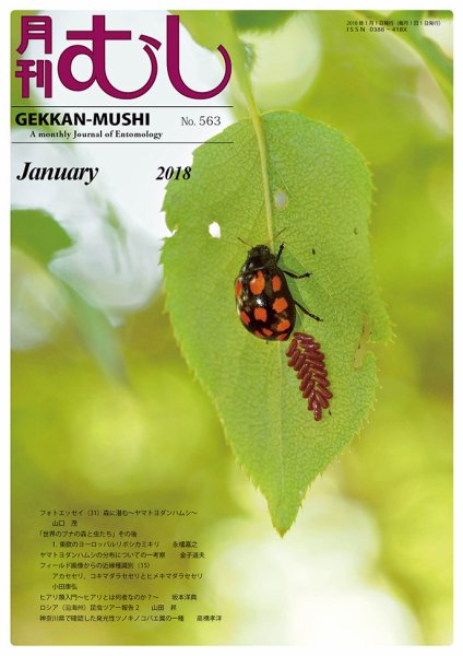 月刊むし 563 (発売日2017年12月25日) 表紙