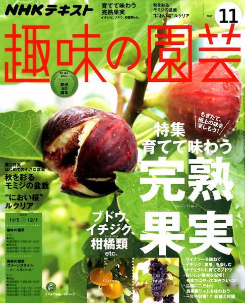 NHK 趣味の園芸 2017年11月号 (発売日2017年10月21日) 表紙