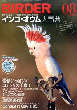 雑誌/定期購読の予約はFujisan 雑誌内検索：【オウム】 がBIRDER（バーダー）の2017年07月15日発売号で見つかりました！