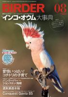 高原綾 「語るインコ」「月のインコ」絵画作品 2点セット