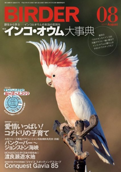 BIRDER（バーダー） 2017年8月号 (発売日2017年07月15日) 表紙