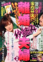 別冊 家庭サスペンス 2017年9月号 表紙