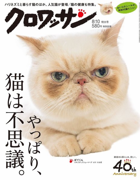 クロワッサン No.954 (発売日2017年07月25日) 表紙